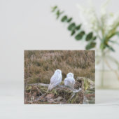 Snowy Owl Couple Briefkaart (Staand voorkant)