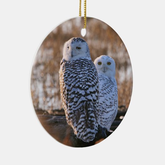Snowy Owl Couple Keramisch Ornament (Rechts)