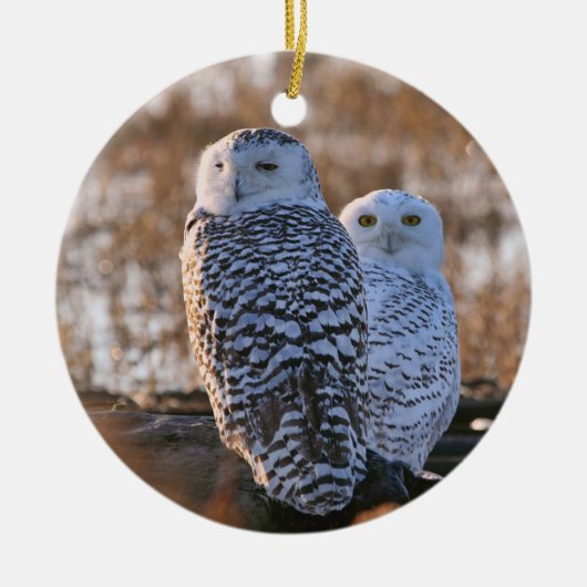 Snowy Owl Couple Keramisch Ornament (Voorkant)