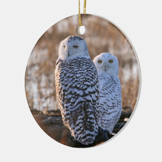 Snowy Owl Couple Keramisch Ornament (Links)