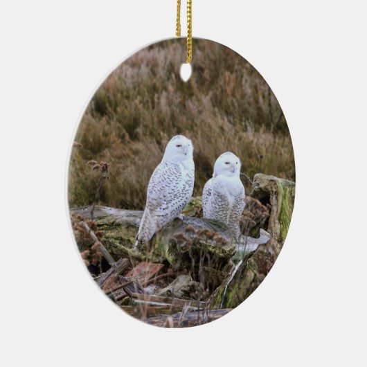 Snowy Owl Couple Keramisch Ornament (Rechts)