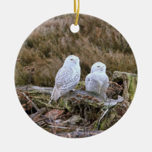 Snowy Owl Couple Keramisch Ornament (Voorkant)