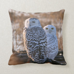 Snowy Owl Couple Kussen