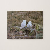 Snowy Owl Couple Legpuzzel (Horizontaal)