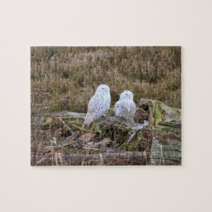 Snowy Owl Couple Legpuzzel
