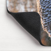 Snowy Owl Couple Muismat (Hoek)