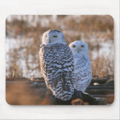 Snowy Owl Couple Muismat (Voorkant)
