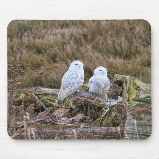 Snowy Owl Couple Muismat (Voorkant)