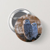 Snowy Owl Couple Ronde Button 5,7 Cm (Voorkant /achterkant)