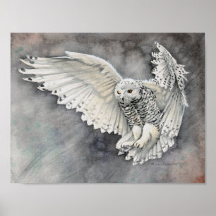 Snowy Owl Descent Waterverf Wildlife Artwork Poster