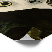 Snowy Owl (detail) Audubon Fine Birds America Poster (Hoek)