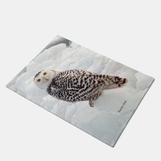 Snowy Owl deurmat (Schuin)