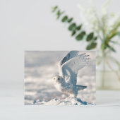 Snowy Owl die uit sneeuw gaat Briefkaart (Staand voorkant)