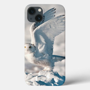 Snowy Owl die uit sneeuw gaat iPhone 13 Hoesje