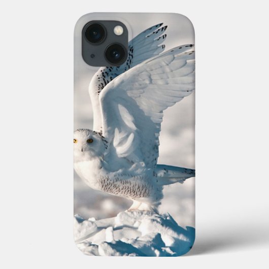 Snowy Owl die uit sneeuw gaat Case-Mate iPhone Case (Achterkant)