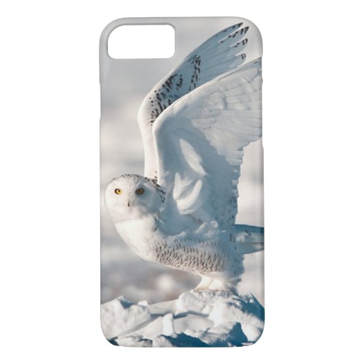 Snowy Owl die uit sneeuw gaat Case-Mate iPhone Case (Achterkant)