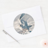 Snowy Owl die uit sneeuw gaat Ronde Sticker (Envelop)