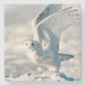 Snowy Owl die uit sneeuw gaat Stenen Onderzetter (Voorkant)