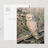 SNOWY OWL door SHARON SHARPE Briefkaart (Voorkant / Achterkant)
