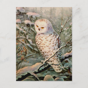 SNOWY OWL door SHARON SHARPE Briefkaart