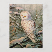 SNOWY OWL door SHARON SHARPE Briefkaart (Voorkant)