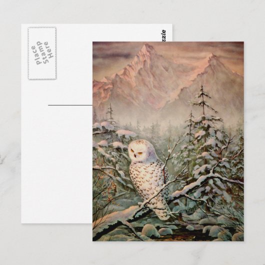 SNOWY OWL door SHARON SHARPE Briefkaart (Voorkant / Achterkant)