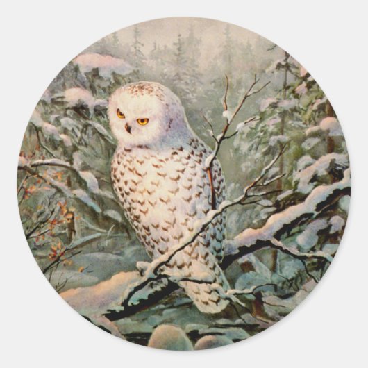 SNOWY OWL door SHARON SHARPE Ronde Sticker (Voorkant)