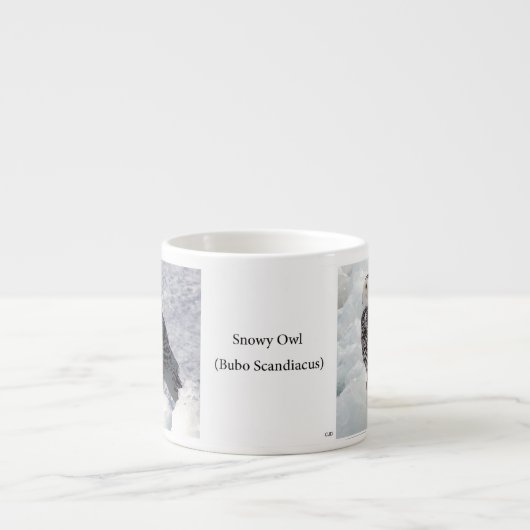 Snowy Owl espresso mok (Voorkant)