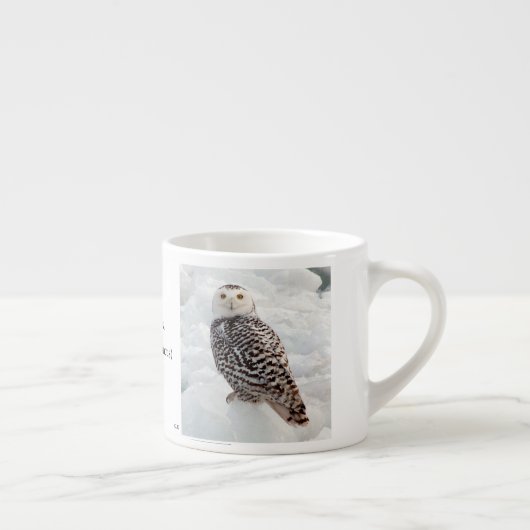 Snowy Owl espresso mok (Rechts)