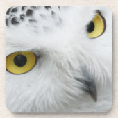 Snowy Owl Eyes Onderzetter (Voorkant)