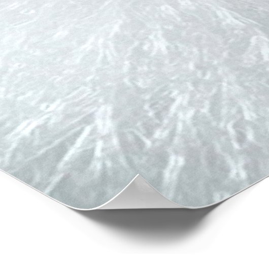 SNOWY OWL EYES POSTER (Hoek)