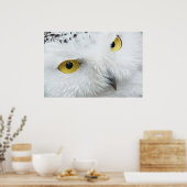 SNOWY OWL EYES POSTER (Keuken)