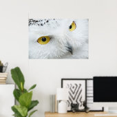 SNOWY OWL EYES POSTER (Thuiskantoor)