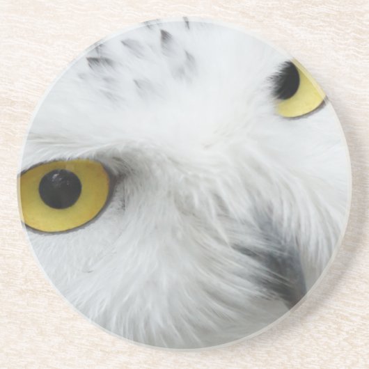 Snowy Owl Eyes Zandsteen Onderzetter (Voorkant)