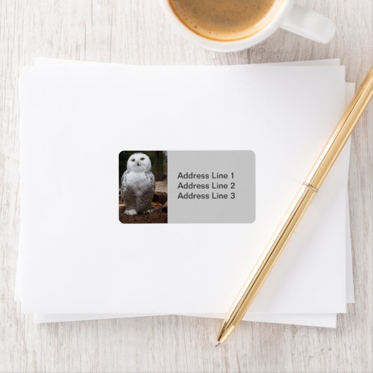 Snowy Owl Foto Label (Insitu)