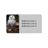 Snowy Owl Foto Label (Voorkant)