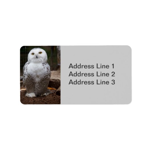 Snowy Owl Foto Label (Voorkant)