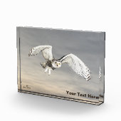 Snowy Owl Fotoblokken (Rechts)