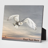 Snowy Owl Fotoplaat (Zijkant)