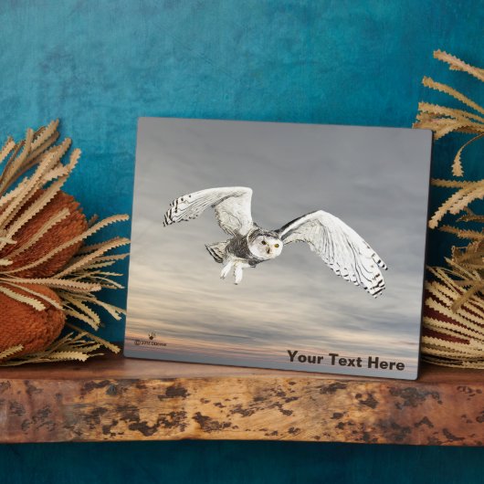 Snowy Owl Fotoplaat (Zijkant)