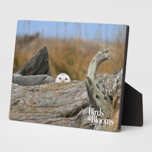 Snowy Owl Fotoplaat (Zijkant)