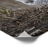 Snowy Owl glimlachen Poster (Hoek)