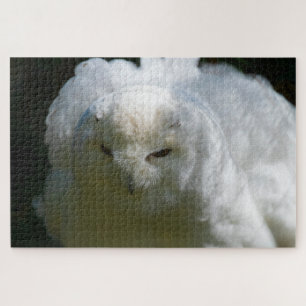 Snowy Owl Goes Floof Superuitdagende vogelvlucht Legpuzzel