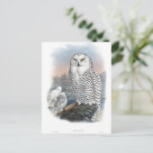  Snowy Owl Gould Briefkaart (Staand voorkant)