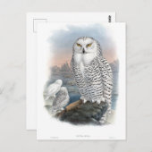  Snowy Owl Gould Briefkaart (Voorkant / Achterkant)