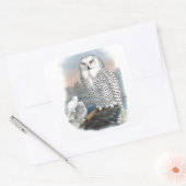  Snowy Owl Gould Vierkante Sticker (Envelop)