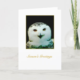 Snowy Owl Holiday Card - 'Vrolijk kerstfeest' Feestdagen Kaart