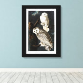 Snowy Owl illustratie door Audubon Canvas Afdruk (Insitu (Houten vloer))