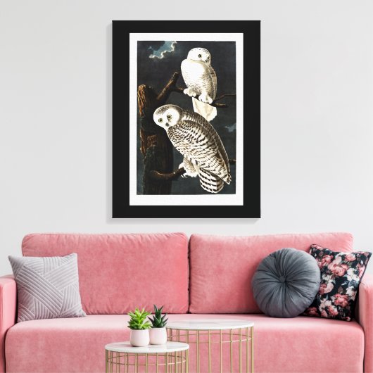 Snowy Owl illustratie door Audubon Canvas Afdruk (Insitu (Woonkamer))