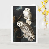Snowy Owl illustratie door Audubon Kaart (Gele Bloem)